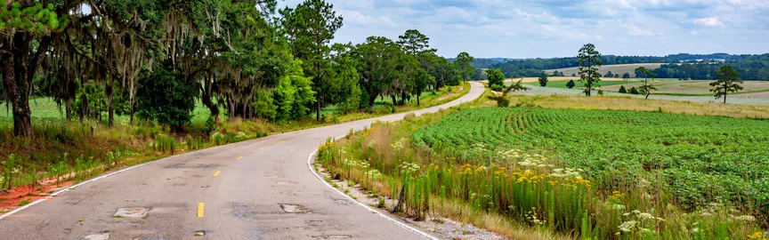 Road Trips from Eutaw, AL: Exploring Nearby Wonders