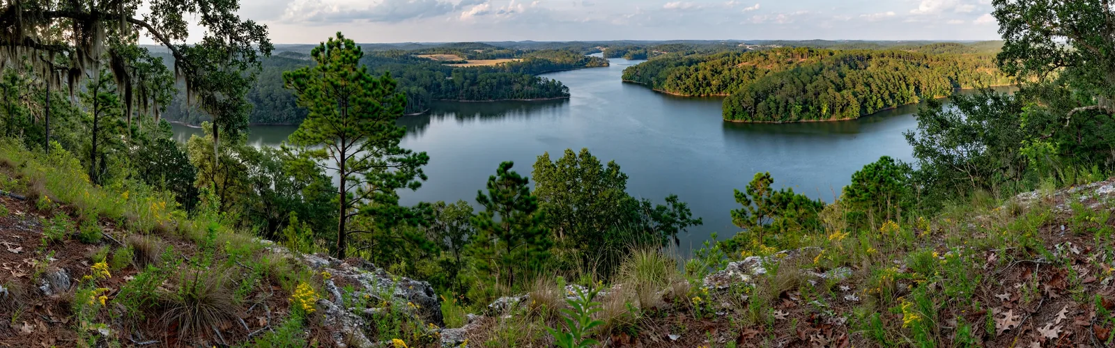 Unforgettable Adventures: Attractions and Activities in Eutaw, AL