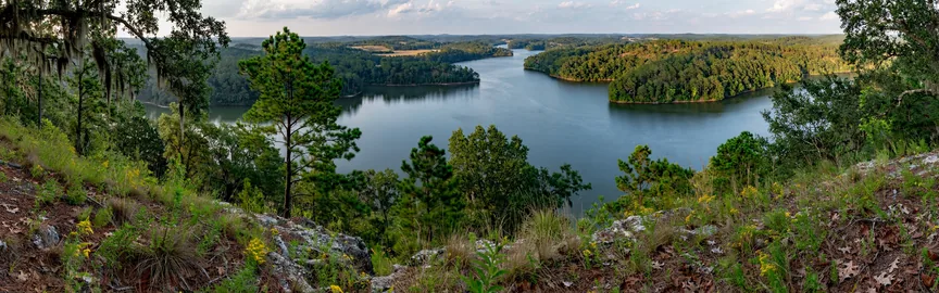Unforgettable Adventures: Attractions and Activities in Eutaw, AL